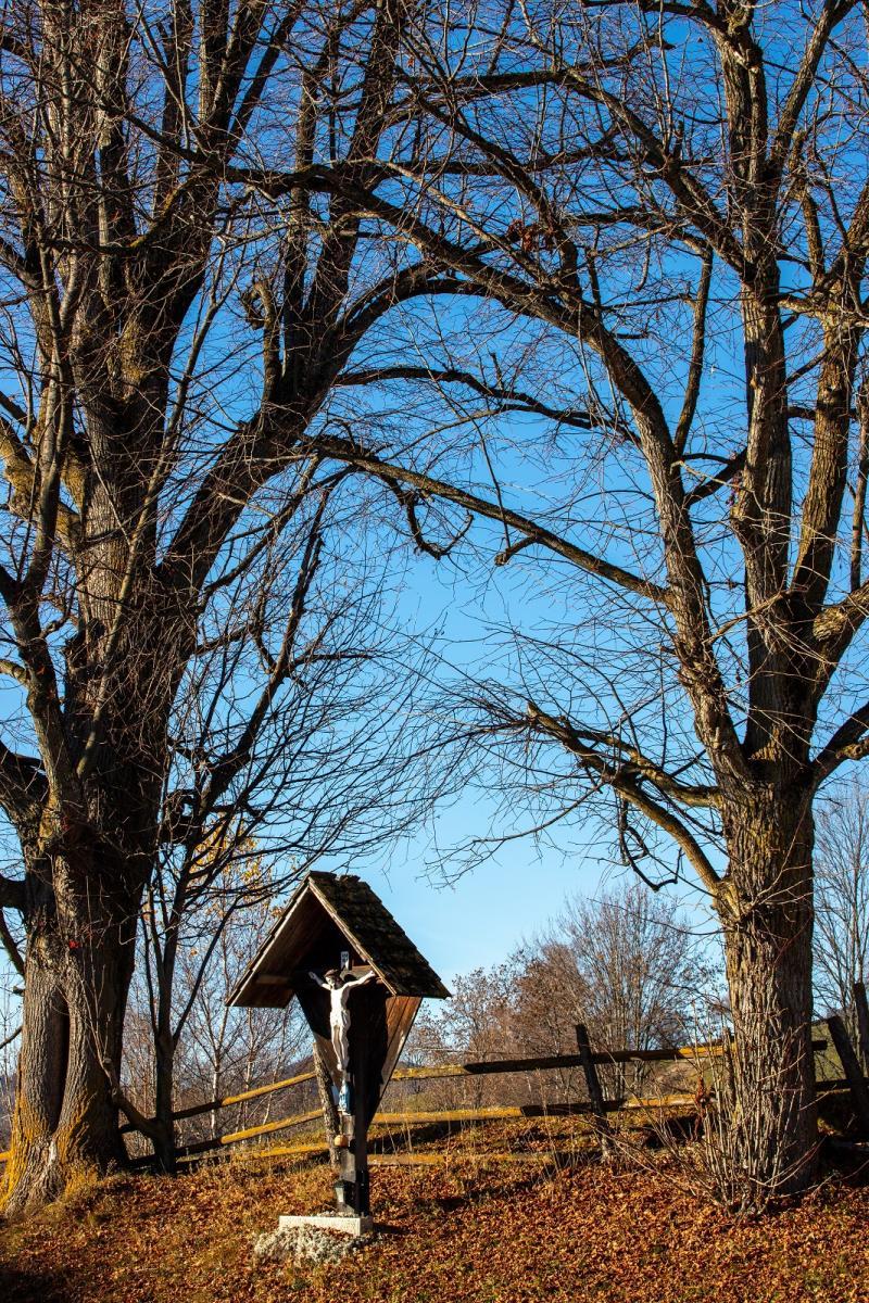 Vogelbeer Panoramaweg Nature Walk - Gullible Travels (blog)